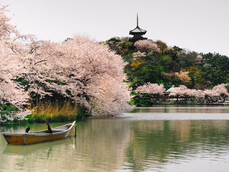 Yokohama